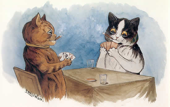 Cat Poker