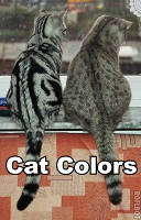 Cat Colors