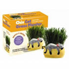 Snoozy Kitty Cat Grass Planter