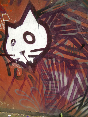 Cat Graffiti