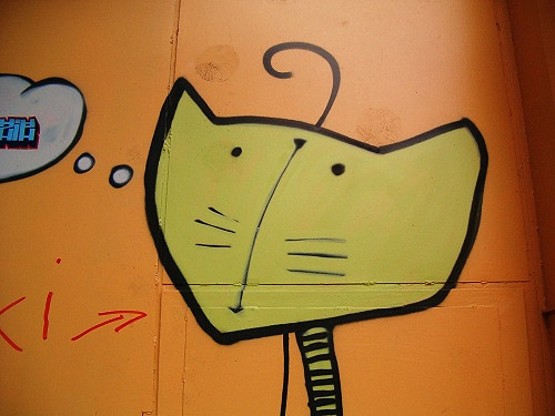 Cat Graffiti