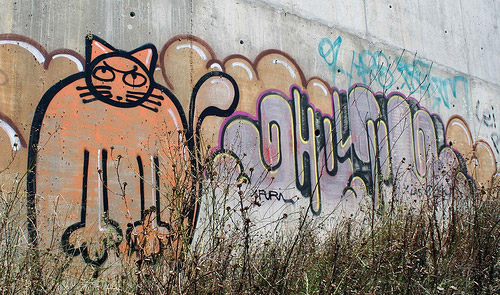 Cat Graffiti