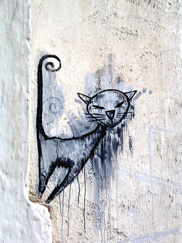 Cat Graffiti