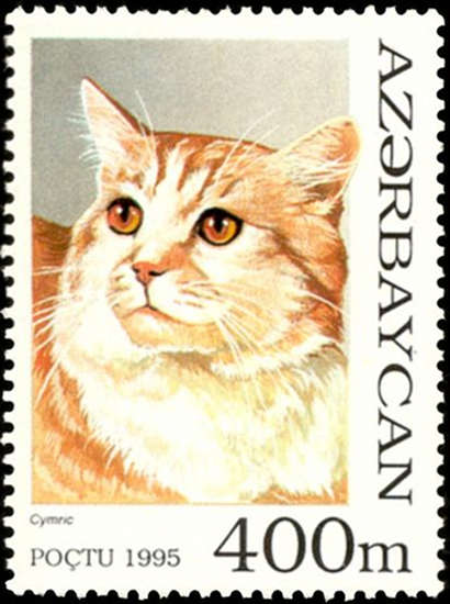 Azerbaijan Cat Stamp