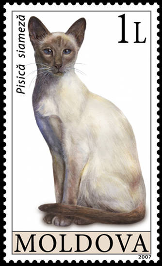 Moldova Cat Stamp