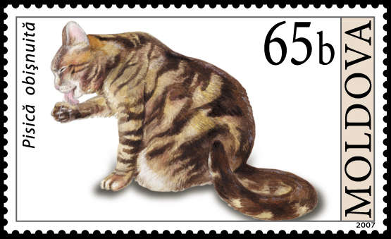 Moldova Cat Stamp
