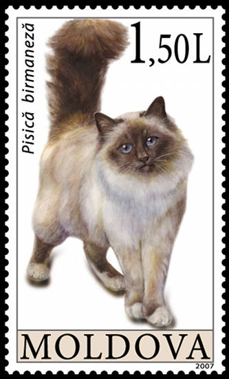 Moldova Cat Stamp