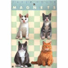 Cats Magnet Set