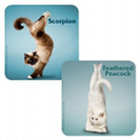 Yoga Cat Coasters