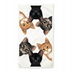 Peeping Toms Kitten Dish Towels