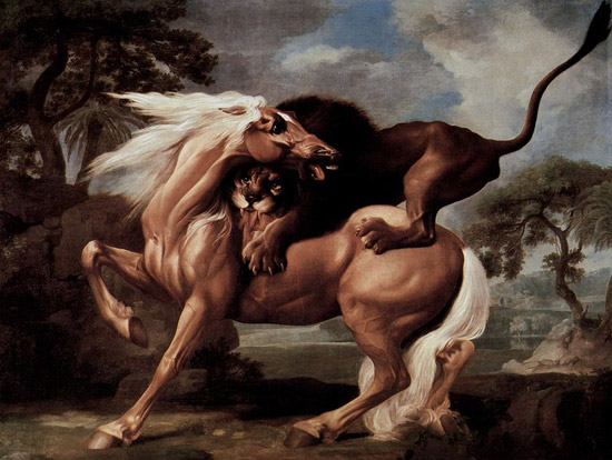 Horse is Attacked by a Lion