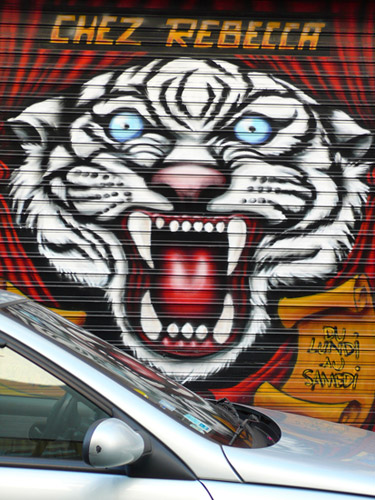 Tiger Graffiti