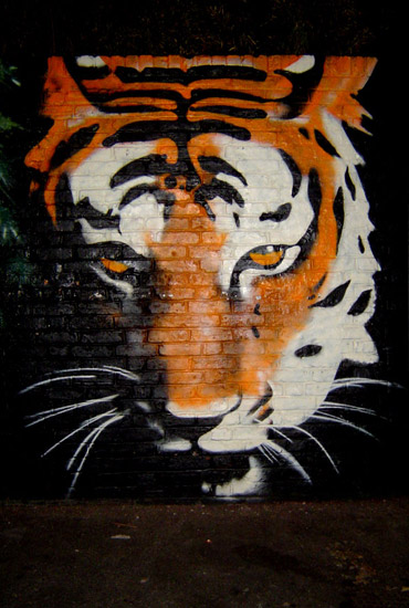 Tiger Graffiti