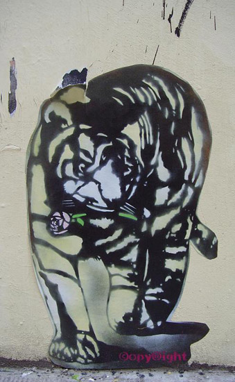 Tiger Graffiti