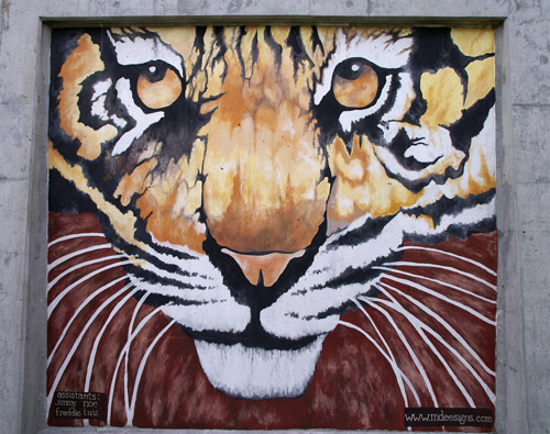 Tiger Graffiti