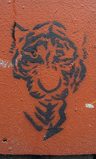 Tiger Graffiti