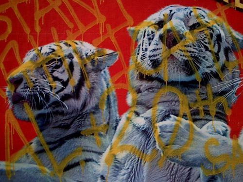 Tiger Graffiti