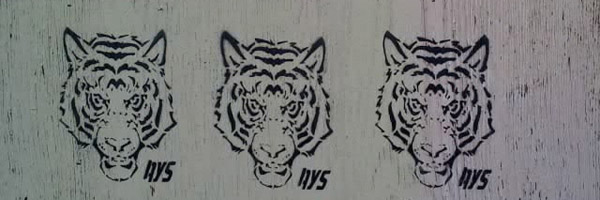 Tiger Graffiti