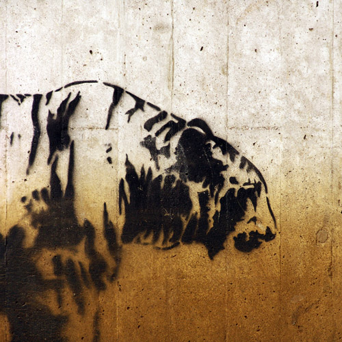 Tiger Graffiti