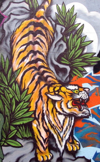 Tiger Graffiti