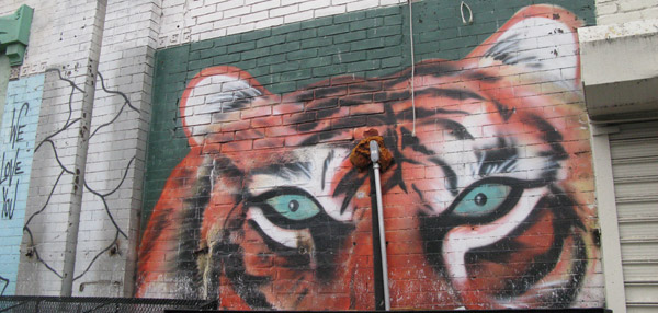 Tiger Graffiti