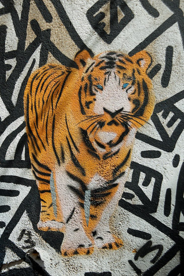 Tiger Graffiti