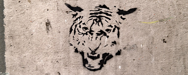 Tiger Graffiti